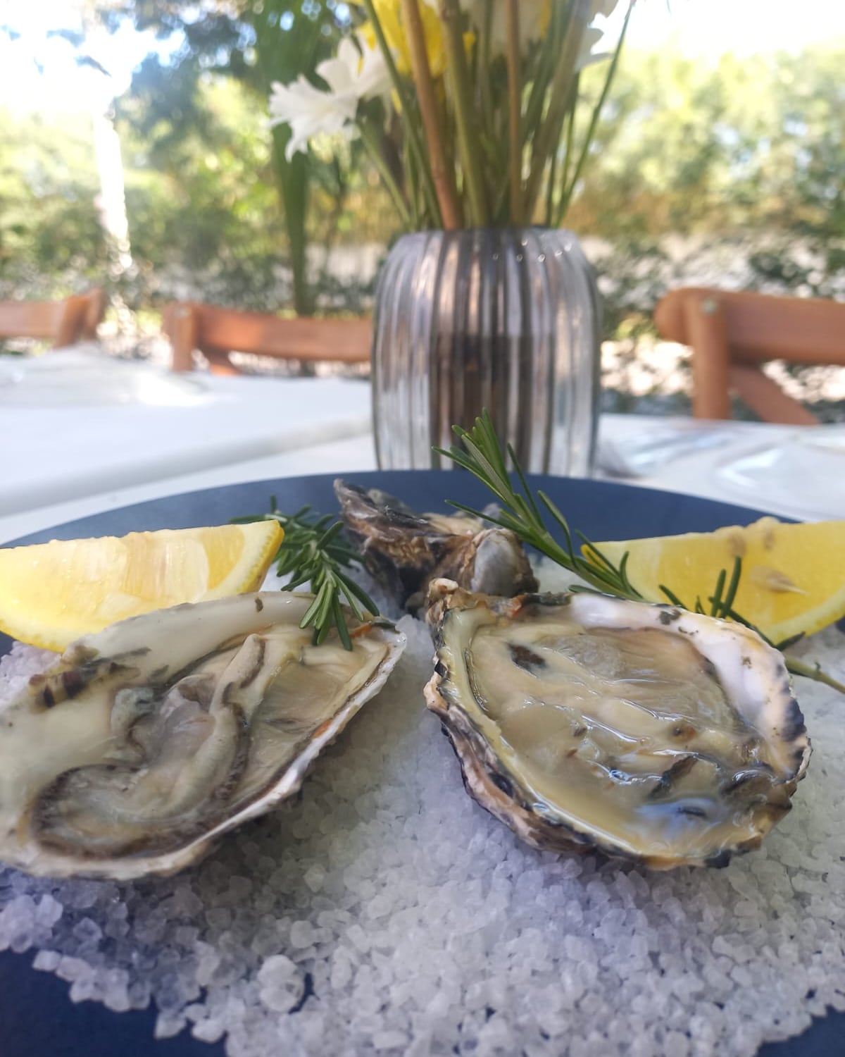 Ostras.jpeg