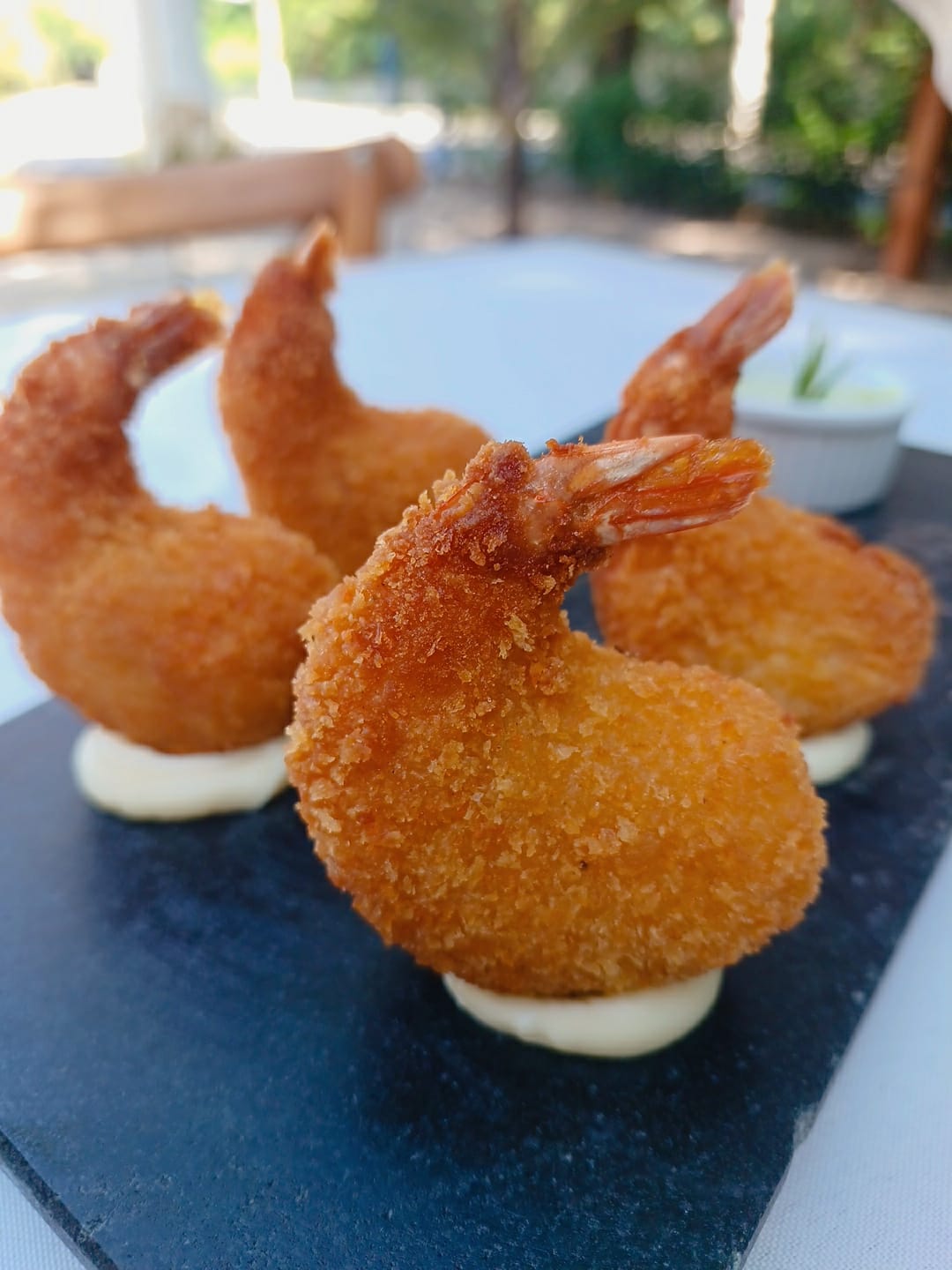 WhatsApp Image 2024-05-02 at 18.59.17.jpeg